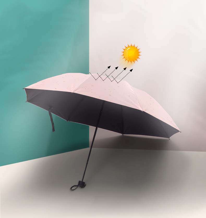 1588044900873531.jpg 1588044900873531.jpg