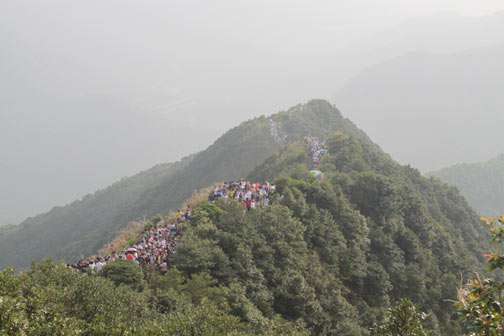 縱情山水,激蕩智慧——TANK007重陽節帶您一起登高梧桐山